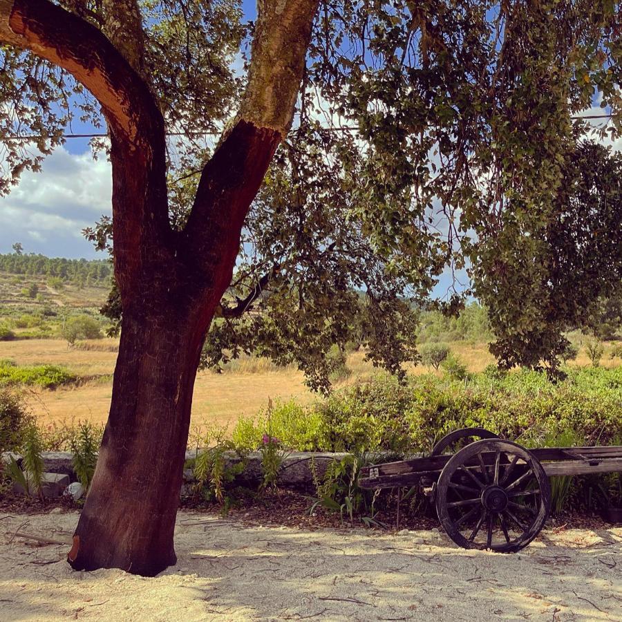 Quinta Da Corga Hotel Prova Buitenkant foto